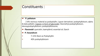 Constituents :
 P. peltatum
2-8% resinous material as podophyllin, Lignan derivatives: podophyllotoxin, alpha
& beta peltatin, (Lignan: in form of glycoside), Desmethyl podophyllotoxin,
desoxypodophyllotoxin, podophyllotoxone,
 Flavonoid: quercetin, kaempferol, essential oil, Starch
 P. hexandrum
 7-15% Resin as Podophyllin
 40% podophyllotoxin
 