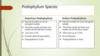 Podophyllum Species
American Podophyllum
 Vascular bundles are not so
elongated radially.
 The CaOx crystals are fewer and
smaller (30-60-100 Micro meter)
 Less resin 2-8 %
 Contains alpha & beta peltatin
 Podophyllotoxin is less
Indian Podophyllum
 Vascular bundles are more elongated
radially.
 The CaOx crystals are fewer and
smaller (20-30-60 Micro meter)
 More resin up to 7-15%
 No constituents
 Podophyllotoxin is more
 