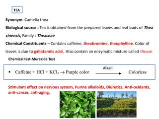TEA
Synonym :Camelia thea
Biological source : Tea is obtained from the prepared leaves and leaf buds of Thea
sinensis, Family : Theaceae
Chemical Constituents – Contains caffeine, theobromine, theophylline. Color of
leaves is due to gallotannic acid. Also contain an enzymatic mixture called thease
Chemical test-Murexide Test
Stimulant effect on nervous system, Purine alkaloids, Diuretics, Anti-oxidants,
anti-cancer, anti-aging,
 