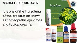 MARKETED PRODUCTS :-
It is one of the ingredients
of the preparation known
as homeopathic eye drops
and topical creams.
 