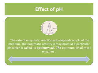 Effect of pH
. The rate of enzymatic reaction also depends on pH of the
medium. The enzymatic activity is maximum at a par...