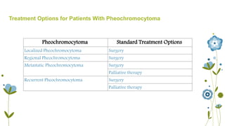Treatment Options for Patients With Pheochromocytoma 
Pheochromocytoma Standard Treatment Options 
Localized Pheochromocytoma Surgery 
Regional Pheochromocytoma Surgery 
Metastatic Pheochromocytoma Surgery 
Palliative therapy 
Recurrent Pheochromocytoma Surgery 
Palliative therapy 
 