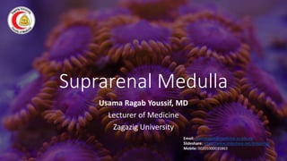 Suprarenal Medulla
Usama Ragab Youssif, MD
Lecturer of Medicine
Zagazig University
Email: usamaragab@medicine.zu.edu.eg
Slideshare: https://www.slideshare.net/dr4spring/
Mobile: 00201000035863
 