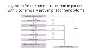 Pheochromocytoma | PPTX
