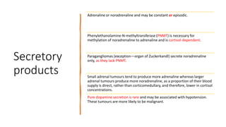 Secretory
products
Adrenaline or noradrenaline and may be constant or episodic.
Phenylethanolamine-N-methyltransferase (PNMT) is necessary for
methylation of noradrenaline to adrenaline and is cortisol-dependent.
Paragangliomas (exception—organ of Zuckerkandl) secrete noradrenaline
only, as they lack PNMT.
Small adrenal tumours tend to produce more adrenaline whereas larger
adrenal tumours produce more noradrenaline, as a proportion of their blood
supply is direct, rather than corticomedullary, and therefore, lower in cortisol
concentrations.
Pure dopamine secretion is rare and may be associated with hypotension.
These tumours are more likely to be malignant.
 