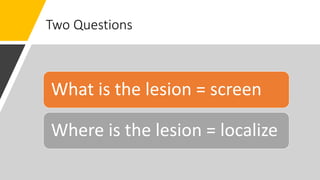 Two Questions
What is the lesion = screen
Where is the lesion = localize
 