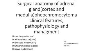Surgical anatomy of adrenal
gland(cortex and
medulla)pheochromocytoma
clinical features,
pathophysiology and
managment
Under the guidance of
Dr.Kishore babu sir(chief)
Dr.Srinivasa madam(asst)
Dr.Shivaram Prasad sir(asst)
Dr.kavya madam(asst)
By
N.Lakshmi Mounika
S5 unit
 
