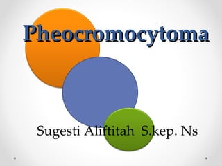 Pheocromocytoma Sugesti Aliftitah  S.kep. Ns 