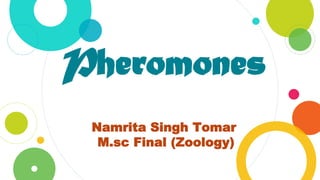 Pheromones
Namrita Singh Tomar
M.sc Final (Zoology)
 