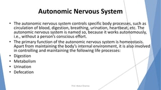 Autonomic Nervous System
• The autonomic nervous system controls specific body processes, such as
circulation of blood, digestion, breathing, urination, heartbeat, etc. The
autonomic nervous system is named so, because it works autonomously,
i.e., without a person’s conscious effort.
• The primary function of the autonomic nervous system is homeostasis.
Apart from maintaining the body’s internal environment, it is also involved
in controlling and maintaining the following life processes:
• Digestion
• Metabolism
• Urination
• Defecation
Prof. Mukul Sharma
 