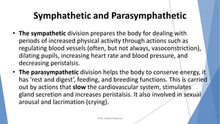 Symphathetic and Parasymphathetic
• The sympathetic division prepares the body for dealing with
periods of increased physical activity through actions such as
regulating blood vessels (often, but not always, vasoconstriction),
dilating pupils, increasing heart rate and blood pressure, and
decreasing peristalsis.
• The parasympathetic division helps the body to conserve energy, it
has ‘rest and digest’, feeding, and breeding functions. This is carried
out by actions that slow the cardiovascular system, stimulates
gland secretion and increases peristalsis. It also involved in sexual
arousal and lacrimation (crying).
Prof. Mukul Sharma
 