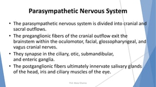 Parasympathetic Nervous System
• The parasympathetic nervous system is divided into cranial and
sacral outflows.
• The preganglionic fibers of the cranial outflow exit the
brainstem within the oculomotor, facial, glossopharyngeal, and
vagus cranial nerves.
• They synapse in the ciliary, otic, submandibular,
and enteric ganglia.
• The postganglionic fibers ultimately innervate salivary glands
of the head, iris and ciliary muscles of the eye.
Prof. Mukul Sharma
 