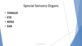 Special Sensory Organs
• TONGUE
• EYE
• NOSE
• EAR
Prof. Mukul Sharma
 