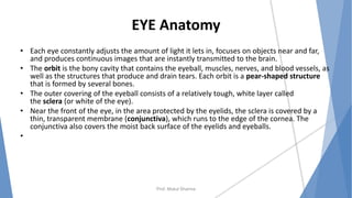 EYE Anatomy
• Each eye constantly adjusts the amount of light it lets in, focuses on objects near and far,
and produces continuous images that are instantly transmitted to the brain.
• The orbit is the bony cavity that contains the eyeball, muscles, nerves, and blood vessels, as
well as the structures that produce and drain tears. Each orbit is a pear-shaped structure
that is formed by several bones.
• The outer covering of the eyeball consists of a relatively tough, white layer called
the sclera (or white of the eye).
• Near the front of the eye, in the area protected by the eyelids, the sclera is covered by a
thin, transparent membrane (conjunctiva), which runs to the edge of the cornea. The
conjunctiva also covers the moist back surface of the eyelids and eyeballs.
•
Prof. Mukul Sharma
 