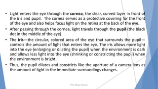 • Light enters the eye through the cornea, the clear, curved layer in front of
the iris and pupil. The cornea serves as a protective covering for the front
of the eye and also helps focus light on the retina at the back of the eye.
• After passing through the cornea, light travels through the pupil (the black
dot in the middle of the eye).
• The iris—the circular, colored area of the eye that surrounds the pupil—
controls the amount of light that enters the eye. The iris allows more light
into the eye (enlarging or dilating the pupil) when the environment is dark
and allows less light into the eye (shrinking or constricting the pupil) when
the environment is bright.
• Thus, the pupil dilates and constricts like the aperture of a camera lens as
the amount of light in the immediate surroundings changes.
Prof. Mukul Sharma
 
