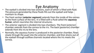 Eye Anatomy
• The eyeball is divided into two sections, each of which is filled with fluid.
The pressure generated by these fluids fills out the eyeball and helps
maintain its shape.
• The front section (anterior segment) extends from the inside of the cornea
to the front surface of the lens. It is filled with a fluid called the aqueous
humor, which nourishes the internal structures.
• The anterior segment is divided into two chambers. The front (anterior)
chamber extends from the cornea to the iris. The back (posterior) chamber
extends from the iris to the lens.
• Normally, the aqueous humor is produced in the posterior chamber, flows
slowly through the pupil into the anterior chamber, and then drains out of
the eyeball through outflow channels located where the iris meets the
cornea.
Prof. Mukul Sharma
 
