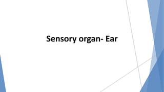 Sensory organ- Ear
 