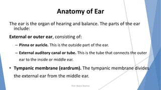 Anatomy of Ear
The ear is the organ of hearing and balance. The parts of the ear
include:
External or outer ear, consisting of:
– Pinna or auricle. This is the outside part of the ear.
– External auditory canal or tube. This is the tube that connects the outer
ear to the inside or middle ear.
• Tympanic membrane (eardrum). The tympanic membrane divides
the external ear from the middle ear.
Prof. Mukul Sharma
 