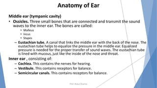 Anatomy of Ear
Middle ear (tympanic cavity)
• Ossicles. Three small bones that are connected and transmit the sound
waves to the inner ear. The bones are called:
• Malleus
• Incus
• Stapes
– Eustachian tube. A canal that links the middle ear with the back of the nose. The
eustachian tube helps to equalize the pressure in the middle ear. Equalized
pressure is needed for the proper transfer of sound waves. The eustachian tube
is lined with mucous, just like the inside of the nose and throat.
Inner ear , consisting of:
– Cochlea. This contains the nerves for hearing.
– Vestibule. This contains receptors for balance.
– Semicircular canals. This contains receptors for balance.
Prof. Mukul Sharma
 