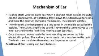 Mechanism of Ear
• Hearing starts with the outer ear. When a sound is made outside the outer
ear, the sound waves, or vibrations, travel down the external auditory canal
and strike the eardrum (tympanic membrane). The eardrum vibrates.
• The vibrations are then passed to 3 tiny bones in the middle ear called the
ossicles. The ossicles amplify the sound. They send the sound waves to the
inner ear and into the fluid-filled hearing organ (cochlea).
• Once the sound waves reach the inner ear, they are converted into
electrical impulses. The auditory nerve sends these impulses to the brain.
The brain then translates these electrical impulses as sound.
Functions of Ear: Hearing and body balance.
Prof. Mukul Sharma
 