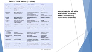Prof. Mukul Sharma
Table: Cranial Nerves (12 pairs)
Originate from nuclei in
the inferior surface of
brain, some sensory,
some motor and mixed.
 