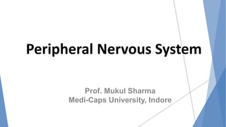 Peripheral Nervous System
Prof. Mukul Sharma
Medi-Caps University, Indore
 