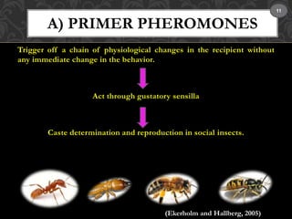 A) PRIMER PHEROMONES 
Trigger off a chain of physiological changes in the recipient without 
any immediate change in the behavior. 
Act through gustatory sensilla 
Caste determination and reproduction in social insects. 
(Ekerholm and Hallberg, 2005) 
11 
 