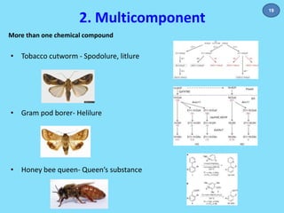 2. Multicomponent 
More than one chemical compound 
• Tobacco cutworm - Spodolure, litlure 
• Gram pod borer- Helilure 
• Honey bee queen- Queen’s substance 
19 
 