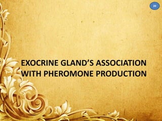 EXOCRINE GLAND’S ASSOCIATION 
WITH PHEROMONE PRODUCTION 
20 
 