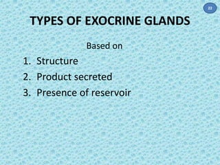 TYPES OF EXOCRINE GLANDS 
Based on 
1. Structure 
2. Product secreted 
3. Presence of reservoir 
22 
 