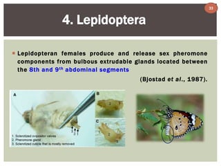 4. Lepidoptera 
 Lepidopteran females produce and release sex pheromone 
components from bulbous extrudable glands located between 
the 8th and 9th abdominal segments 
(Bjostad et al . , 1987) . 
33 
 