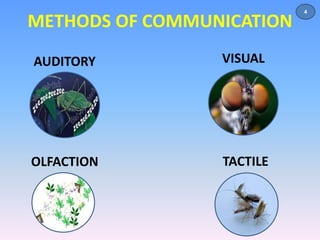 METHODS OF COMMUNICATION 
AUDITORY VISUAL 
OLFACTION TACTILE 
4 
 