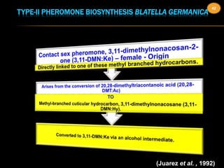 TYPE-II PHEROMONE BIOSYNTHESIS BLATELLA GERMANICA 
42 
(Juarez et al. , 1992) 
 