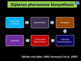 Dipteran pheromone biosynthesis 
Fatty acid 
synthesis 
desaturation elongation 
reductive 
decarboxylation. 
Unsaturated 
hydrocarbons 
epoxides 
43 
(Wicker and Jallon, 1995; Pennanec’h et al., 1997) 
 