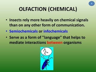 OLFACTION (CHEMICAL) 
• Insects rely more heavily on chemical signals 
than on any other form of communication. 
• Semiochemicals or infochemicals 
• Serve as a form of "language" that helps to 
mediate interactions between organisms 
5 
 