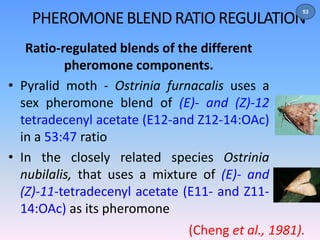 53 
PHEROMONE BLEND RATIO REGULATION 
Ratio-regulated blends of the different 
pheromone components. 
• Pyralid moth - Ostrinia furnacalis uses a 
sex pheromone blend of (E)- and (Z)-12 
tetradecenyl acetate (E12-and Z12-14:OAc) 
in a 53:47 ratio 
• In the closely related species Ostrinia 
nubilalis, that uses a mixture of (E)- and 
(Z)-11-tetradecenyl acetate (E11- and Z11- 
14:OAc) as its pheromone 
(Cheng et al., 1981). 
 