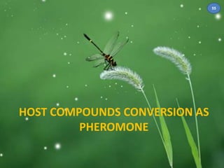 HOST COMPOUNDS CONVERSION AS 
PHEROMONE 
55 
 