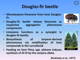 Douglas-fir beetle 
• Monoterpene limonene from host Douglas-fir. 
• Douglas-fir beetle release limonene as 
respective aggregation pheromone 
components. 
• Limonene functions as a synergist in 
douglas-fir beetle. 
• Biosynthesis of terpene-derived 
pheromones via modification of host 
compounds in the curculionid 
• Feeding on host Pinus spp. phloem induces 
synthesis of JH III by the corpora allata. 
(Rudinsky et al., 1977) 
56 
 