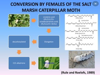 CONVERSION BY FEMALES OF THE SALT 
MARSH CATERPILLAR MOTH 
Host plant 
Linolenic acid 
(Z9,Z12,Z15- 
octadecatrienoic acid; 
Z9,Z12,Z15–18:Ac) 
decarboxylated Elongation 
C21 alkatriene C21 epoxide 
58 
(Rule and Roelofs, 1989) 
 