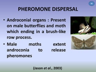 PHEROMONE DISPERSAL 
• Androconial organs : Present 
on male butterflies and moth 
which ending in a brush-like 
row process. 
• Male moths extent 
androconia to release 
pheromones 
(Jason et al., 2003) 
62 
 
