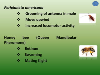 Periplaneta americana 
 Grooming of antenna in male 
 Move upwind 
 Increased locomotor activity 
Honey bee (Queen Mandibular 
Pheromone) 
 Retinue 
 Swarming 
 Mating flight 
77 
 