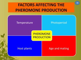 FACTORS AFFECTING THE 
PHEROMONE PRODUCTION 
Temperature Photoperiod 
PHEROMONE 
PRODUCTION 
Host plants Age and mating 
78 
 