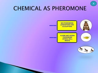 SEX PHEROMONE 
LEPIDOPTERA AND 
COLEOPTERA 
ALARM AND AGGRN 
PHEROMONE 
APHIDS, BOLL 
WEEVIL 
8 
 