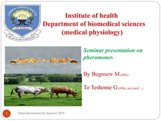 Institute of health
Department of biomedical sciences
(medical physiology)
About pheromones by begosew 20191
Seminar presentation on
pheromones
By Begosew M.(BSc)
To Teshome G.(MSc ,ass.t prof…)
 