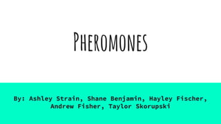 Pheromones
By: Ashley Strain, Shane Benjamin, Hayley Fischer,
Andrew Fisher, Taylor Skorupski
 