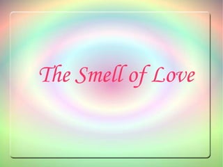 The Smell of Love 