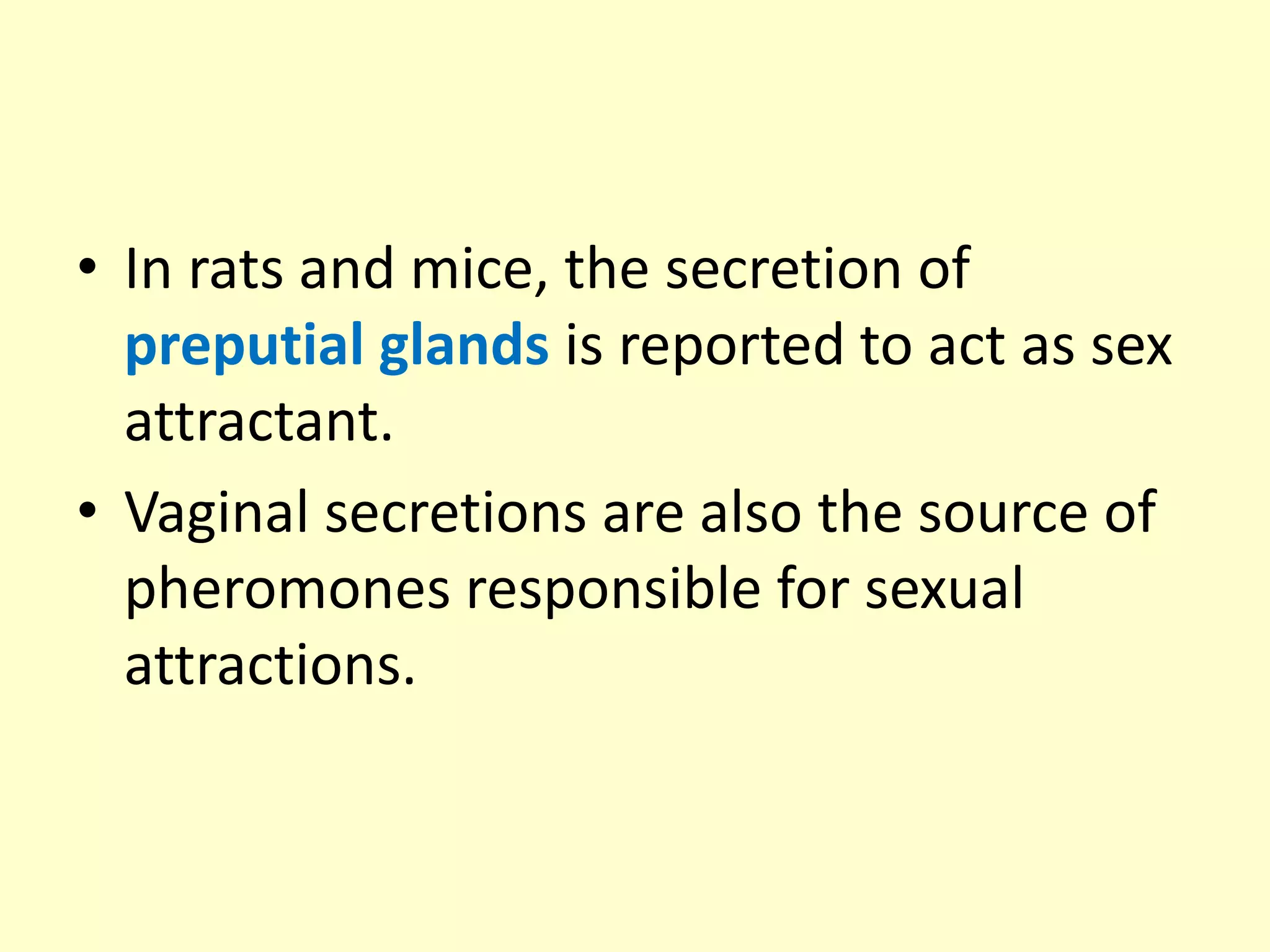 Pheromones | PPTX