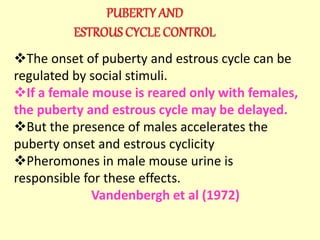The onset of puberty and estrous cycle can be
regulated by social stimuli.
If a female mouse is reared only with females,
the puberty and estrous cycle may be delayed.
But the presence of males accelerates the
puberty onset and estrous cyclicity
Pheromones in male mouse urine is
responsible for these effects.
Vandenbergh et al (1972)
 