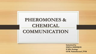 PHEROMONES &
CHEMICAL
COMMUNICATION
Submitted by
SIMNA SIDDIQUE
II MSc Zoology
GCW, Vazhuthacaud ,TVM
 