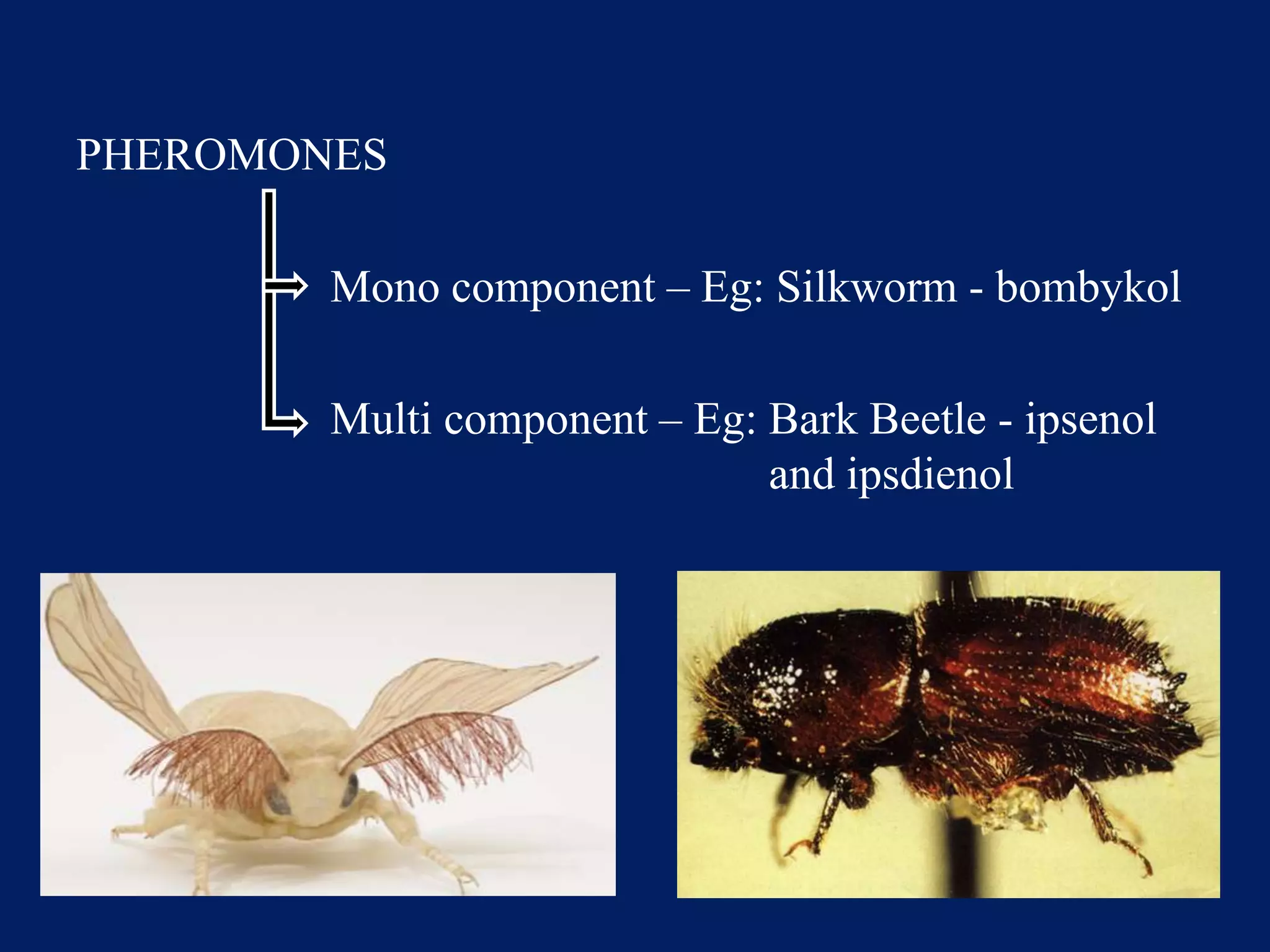 PHEROMONES
Mono component – Eg: Silkworm - bombykol
Multi component – Eg: Bark Beetle - ipsenol
and ipsdienol
 
